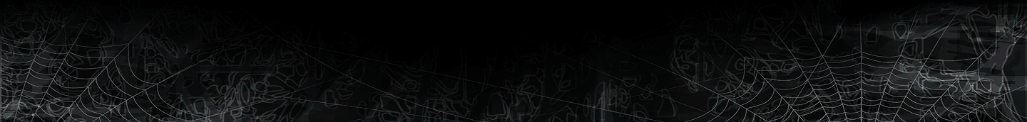 Footer Banner
